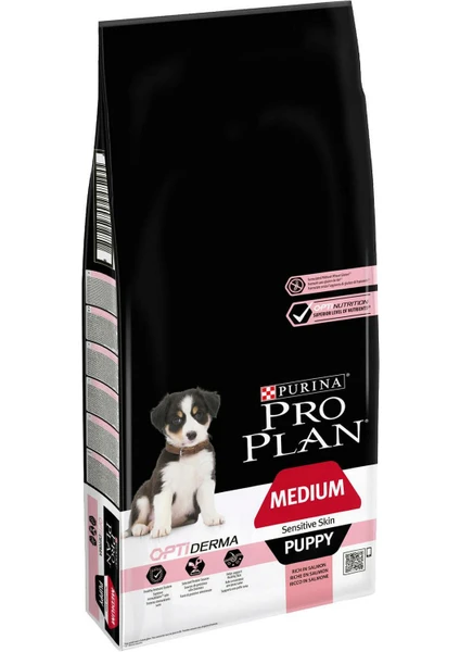 Pro Plan Medium Puppy Somonlu Köpek Maması - 12 kg