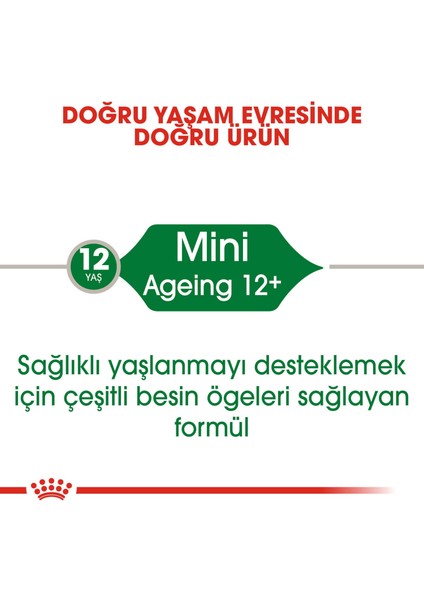 6 Adet Royal Canin Mini Ageing 85 gr