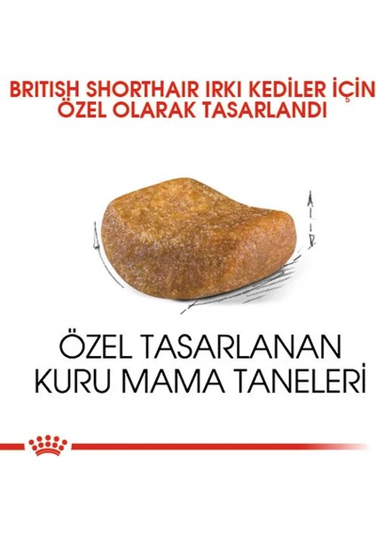 2 kg Yetişkin British Kısa Tüylü Kedi Maması