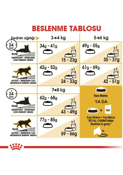 2 kg Yetişkin British Kısa Tüylü Kedi Maması