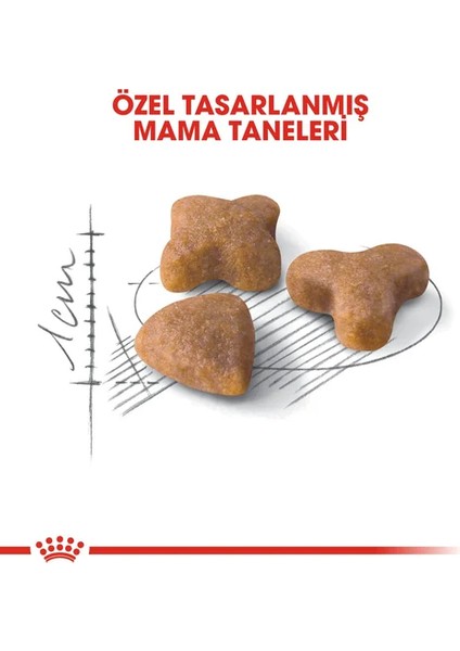 2 kg Yetişkin Kedi Maması Sindirim Hassasiyeti Olan