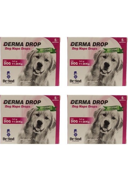 Dr Sed Pharma Derma 11-20 kg Köpek Ense Damla 4 Kutu