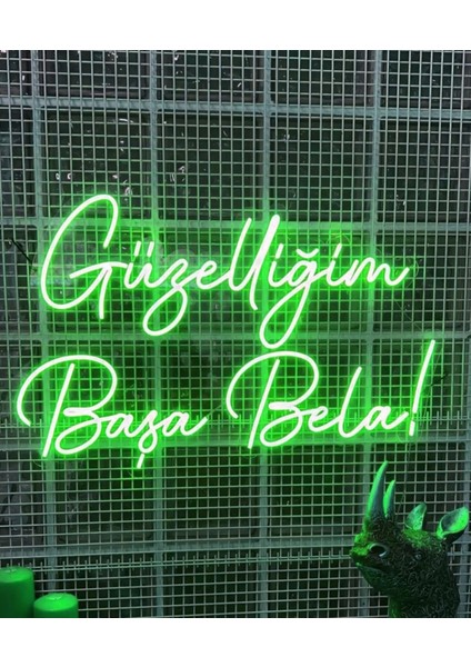 Güzelliğim Başa Bela Yazılı Neon LED Tabela Dekoratif Aydınlatma(50 x 32 Cm)