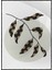 Doğa Bitki Modern Illüstrasyon Poster P-002566 1