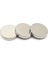 Çok Güçlü Neodyum Mıknatıs Yuvarlak Disk 30x5 mm (2`li Paket) 1