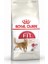 15 kg Aktif Yetişkin Kedi Maması, Dışarıya Çıkan 1