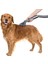 Dyson V7 Uyumlu Pet Başlığı Evcil Hayvan Bakım Aparatı 4