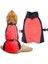 Sonbahar ve Kış Köpek Kostümü Kırmızı-3xl (Yurt Dışından) 2