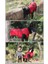 Kalınlaştırılmış Köpek Kıyafeti Kırmızı-S (Yurt Dışından) 5