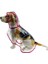 Puppy Clear Yağmurluk (Pink- 5xl (Yurt Dışından) 3