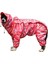 Her Şey Dahil Mackintosh Dog Pink-22 # (Yurt Dışından) 1