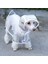 Puppy Xs Yağmurluk (Yurt Dışından) 1
