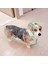 Puppy Xs Yağmurluk (Yurt Dışından) 3