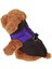 Hayvan Ceketi Mor 2xl (Yurt Dışından) 3