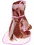 Puppy Clear Yağmurluk (Pink- 4xl (Yurt Dışından) 3