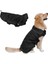 Köpek Ceketi Black-Xl (Yurt Dışından) 1