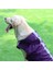Köpek Mor Yağmurluk (3xl (Yurt Dışından) 3