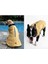 Pet Retro Kostüm Sarı-3xl (Yurt Dışından) 5