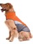 Sonbahar ve Kış Köpek Paltosu Orange-M (Yurt Dışından) 4