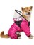 Çok Amaçlı Yağmurluk (3xl-Pembe (Yurt Dışından) 1