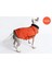 Pet Retro Kostüm Orange-Xl (Yurt Dışından) 4