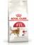 2 kg Aktif Yetişkin Kedi Maması, Dışarıya Çıkabilen 1