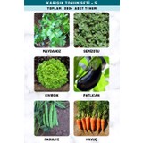 3A Botanik Karışık Tohum Seti-5 (Maydanoz, Semiz, Kıvırcık, Patlıcan, Fasulye, Havuç) Tohumları 200+ Adet Tohum