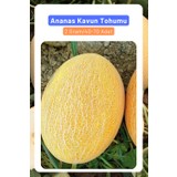 3A Botanik Ananas Kavun Tohumu, 2 Gram/40-70 Adet Tohum
