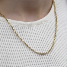 Lilarote Doç Zincir Altın Kolye