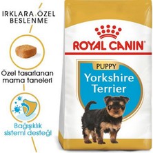 Royal Canin Yorkshire Terrier Yavru Köpek Maması - 1,5 kg