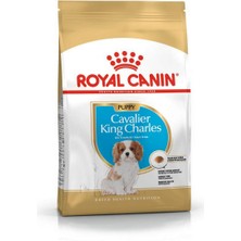 Royal Canin Cavalier Junior Köpek Maması - 1,5 kg