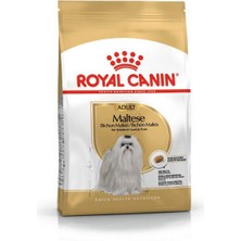 Royal Canin Maltese Yetişkin Köpek Maması - 1,5 kg