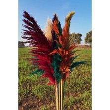 Alyones 15'li Dekoratif Karışık 100CM Boyunda Pampas