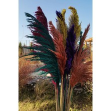 Alyones 15'li Dekoratif Karışık 100CM Boyunda Pampas