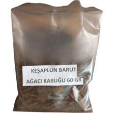 Cepten Barut Ağacı Kabuğu 60 gr