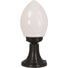 Avonnı BSU-68204-BSY-M2-K Siyah Boyalı Dış Mekan Aydınlatma E27 Abs Akrilik Cam 20CM