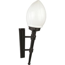 Avonnı BAP-68204-BSY-M3 Siyah Boyalı Dış Mekan Aydınlatma E27 Abs Akrilik Cam 25X20CM