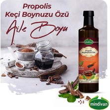 Mindivan Propolis Keçiboynuzu Özü 640 ml