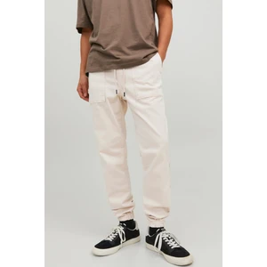 Jack & Jones Jpstgordon Jjlewıs Jogger Ama Noos Beyaz Erkek Eşofman 12229712-Moonb