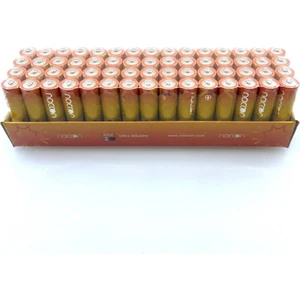 Aaa Ince Pil 60LI Alkaline Paket LR03