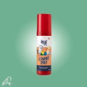 Maxi Dermabit Sprey 200ML