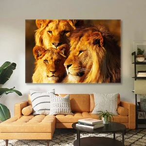 SML Tablo Karizma Aslan Ailesi Ormanlar Kralı Kaplan Yavru Aslan Hayvan Kanvas Tablo