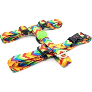 H-Tip Rainbow S Küçük Irk Köpek Göğüs Tasması (Göğüs 32 cm x 51 Cm)