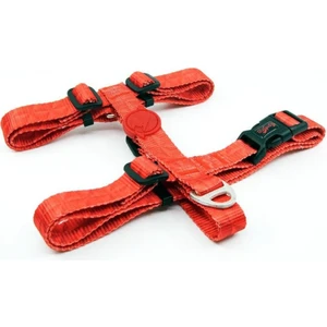 H-Tip Prism M Orta Irk Köpek Göğüs Tasması (Göğüs 42 cm x 69 Cm)