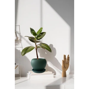 Tabaklı Haki Yeşil Tombul Çömlek Saksı 22X21 cm