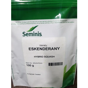 Eskenderany Hibrit Kabak Tohumu 100 Gram