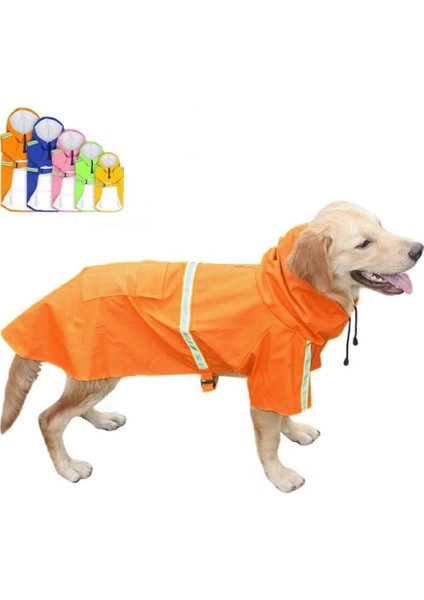 Pet Panço Orange-4xl (Yurt Dışından)