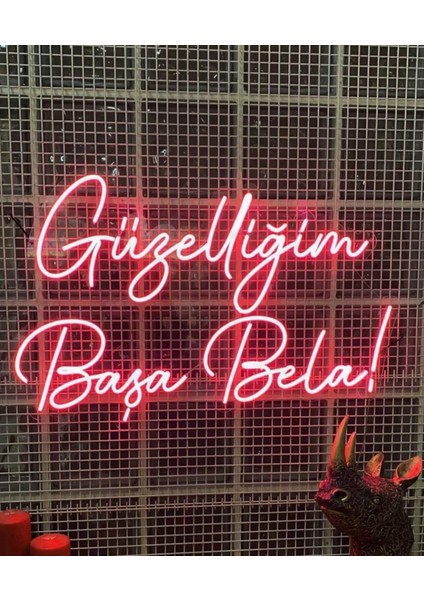 Güzelliğim Başa Bela Yazılı Neon LED Tabela Dekoratif Aydınlatma(50 x 32 Cm)