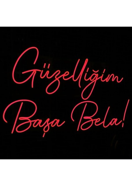 Güzelliğim Başa Bela Yazılı Neon LED Tabela Dekoratif Aydınlatma(50 x 32 Cm)