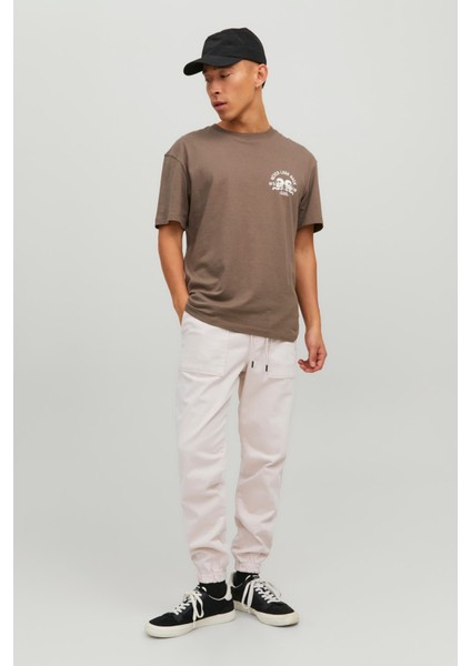 Jpstgordon Jjlewıs Jogger Ama Noos Beyaz Erkek Eşofman 12229712-Moonb fiyatları